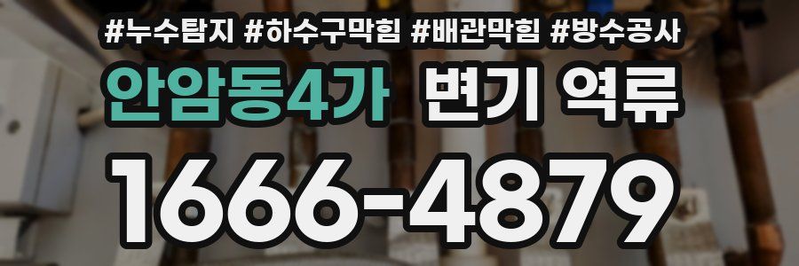 안암동4가 변기 역류
