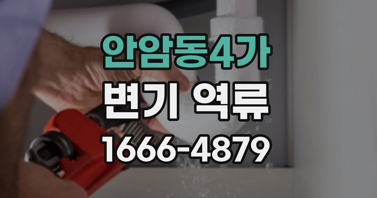 안암동4가 변기 역류