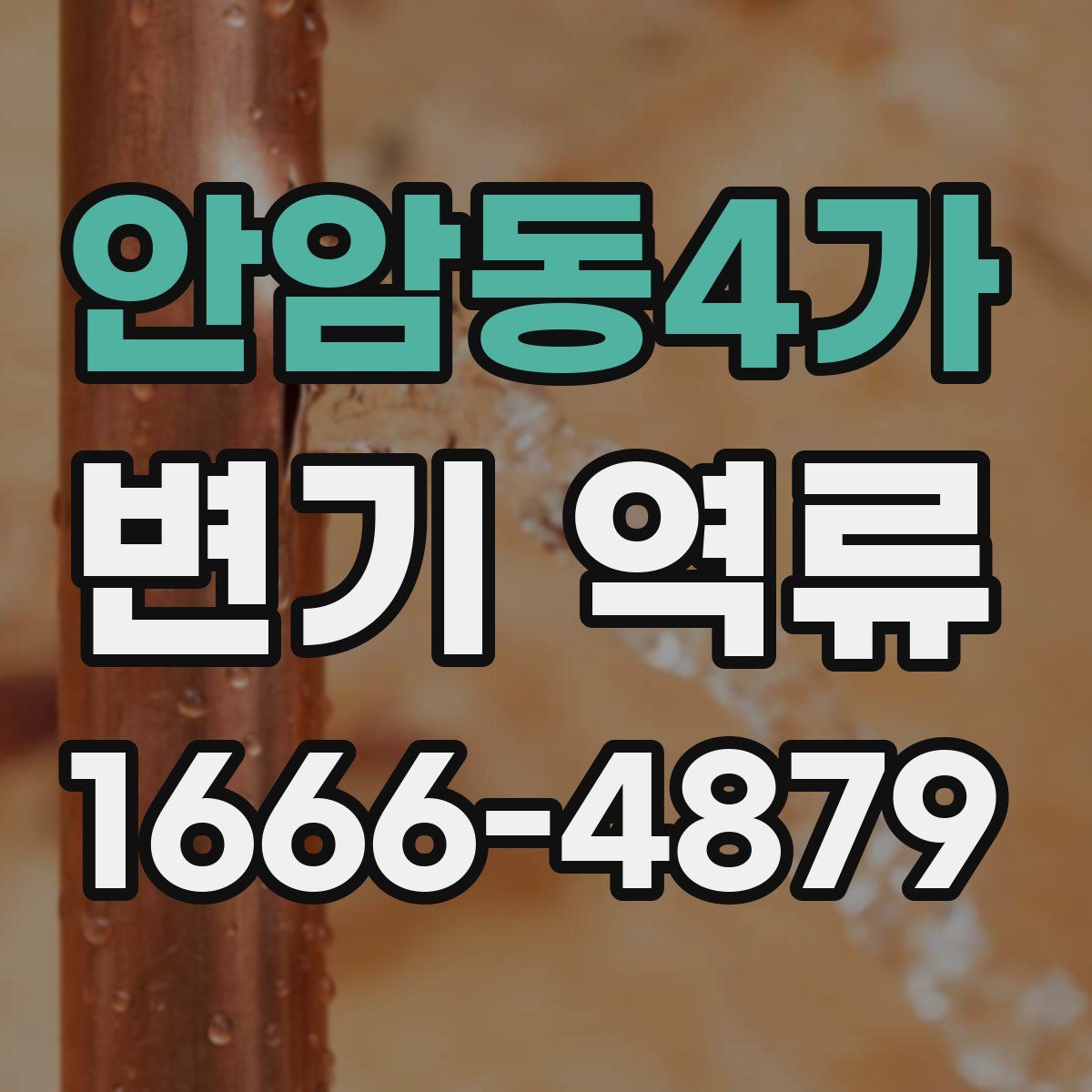 안암동4가 변기 역류