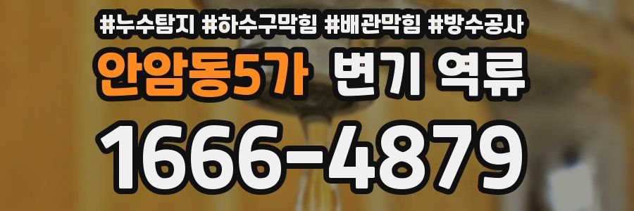 안암동5가 변기 역류