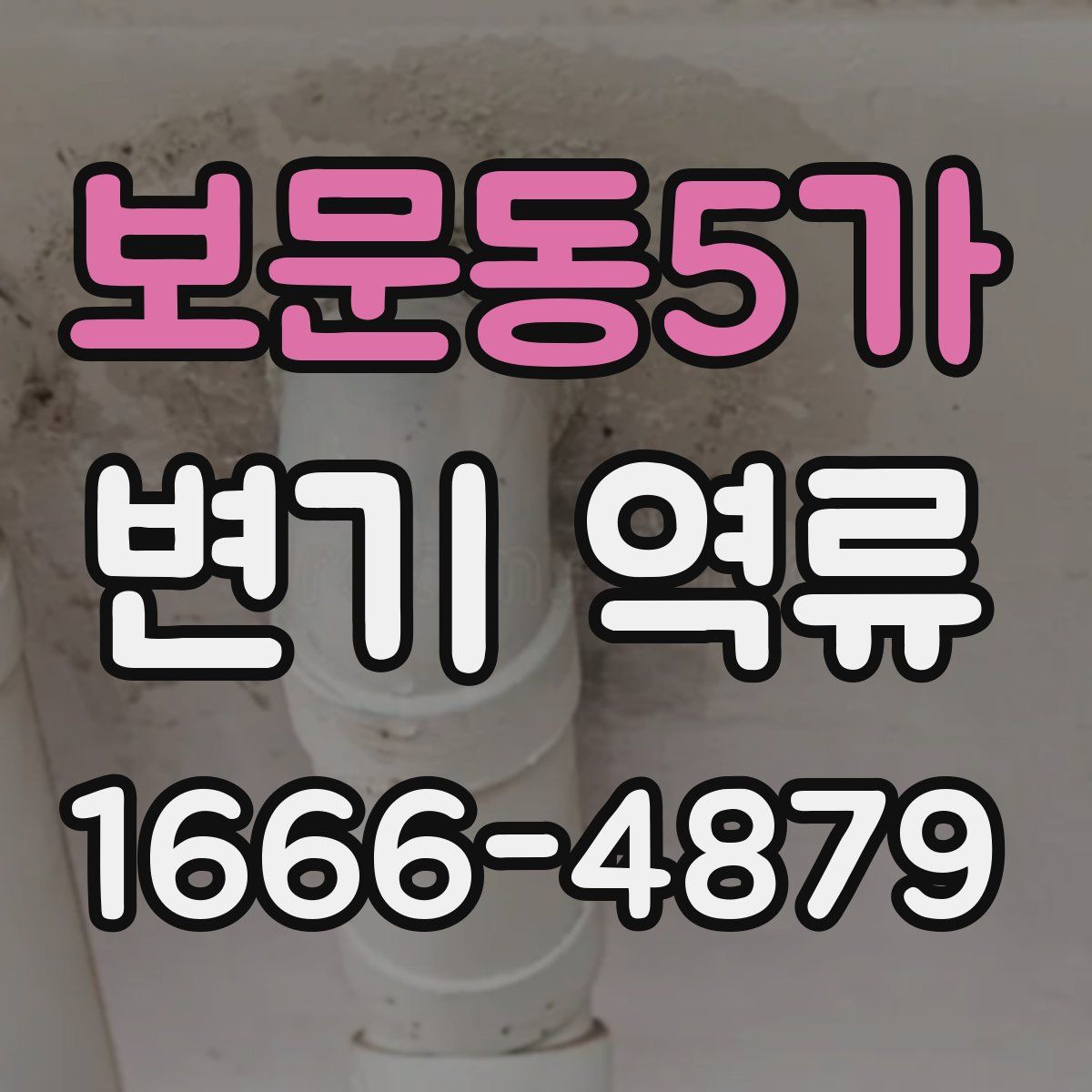 보문동5가 변기 역류