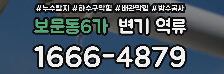 보문동6가 변기 역류