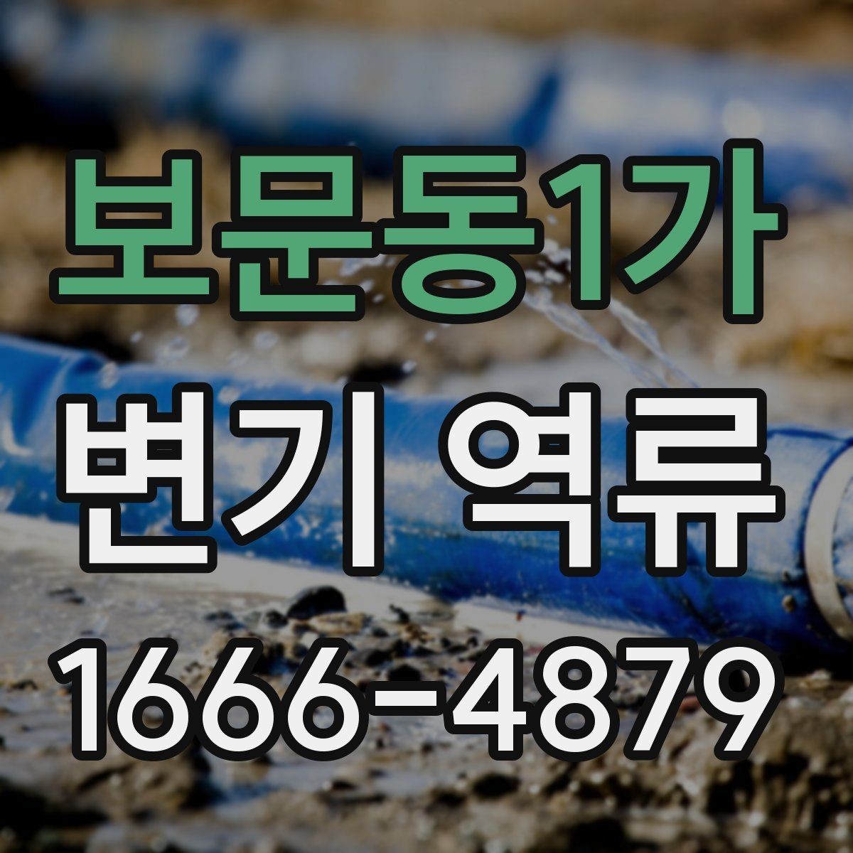 보문동1가 변기 역류 막힘과 함께 나타날 때