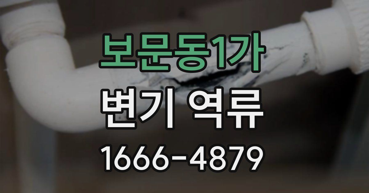 보문동1가 변기 역류