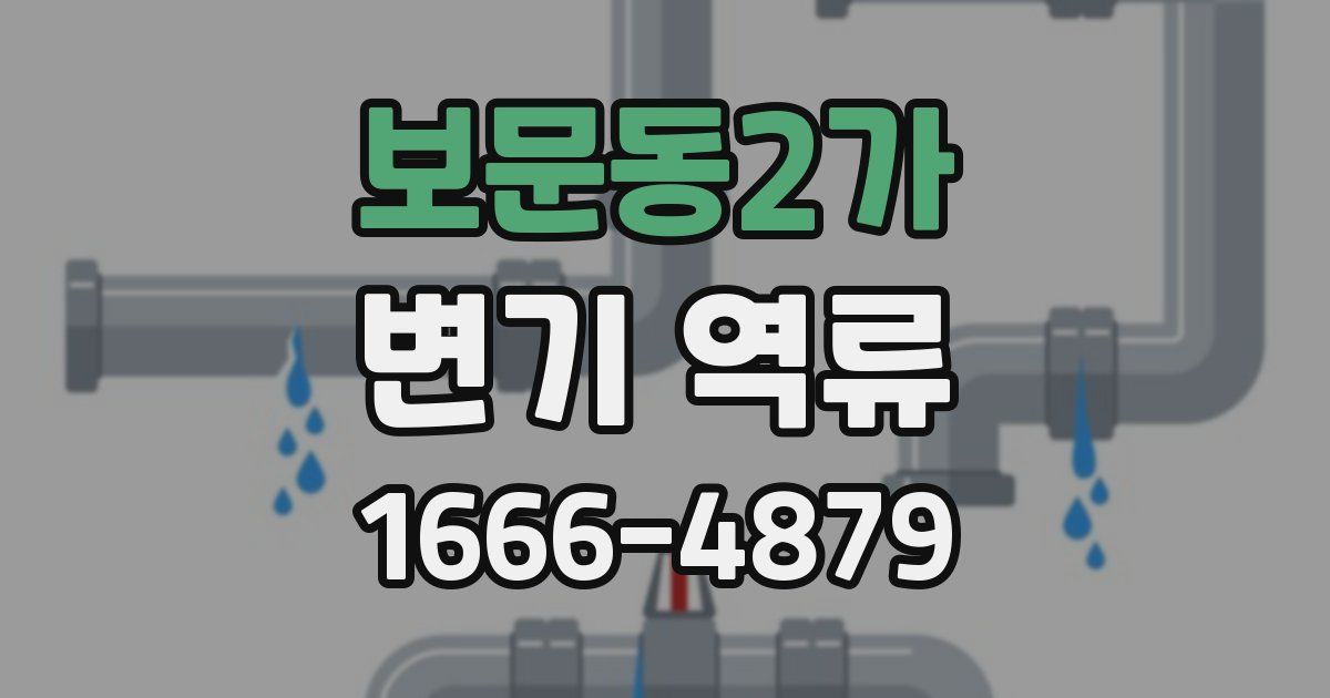 보문동2가 변기 역류
