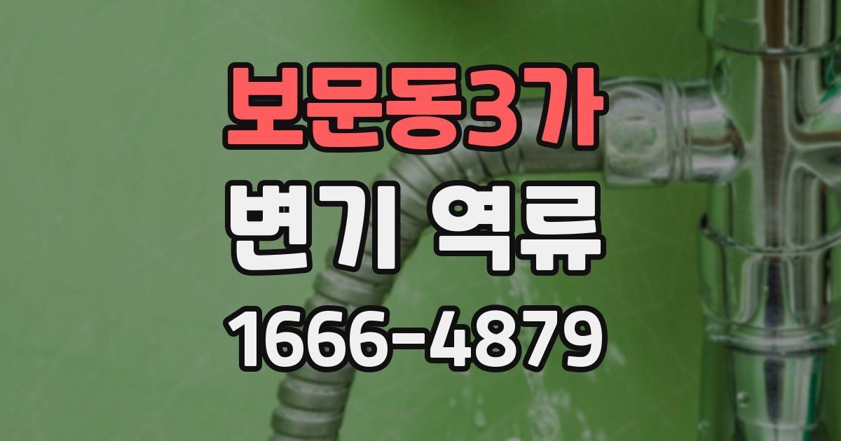 보문동3가 변기 역류