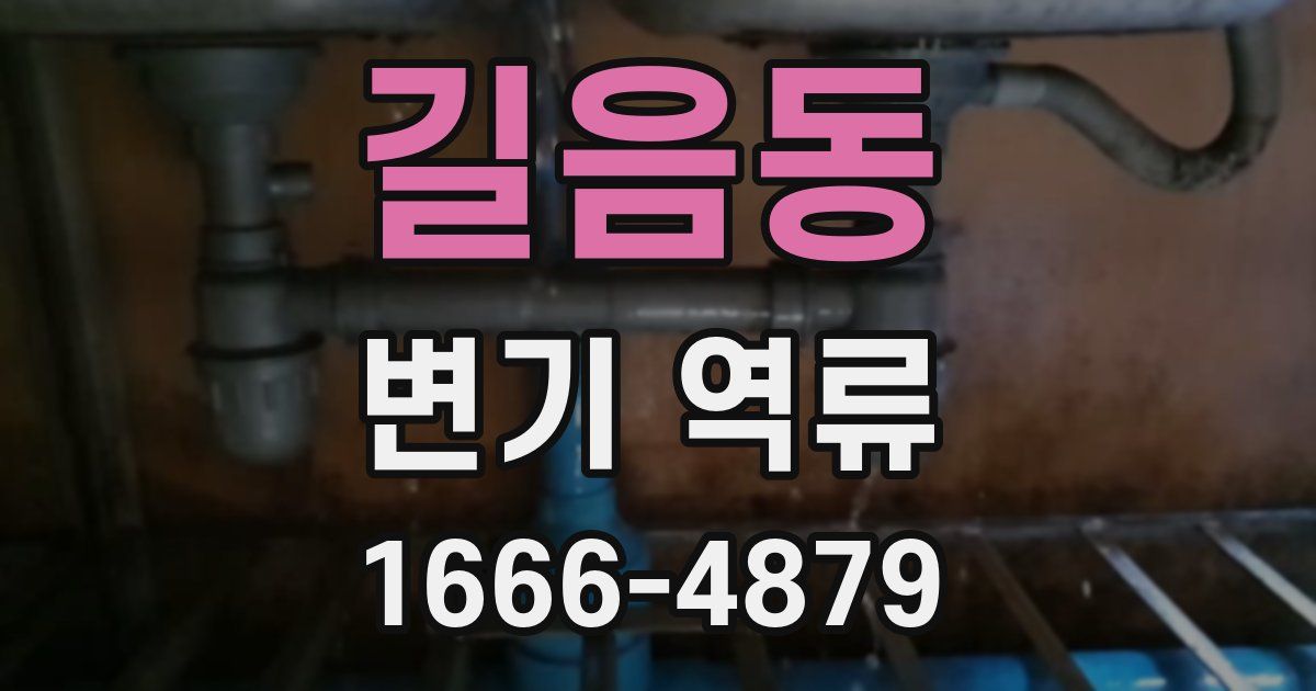 길음동 변기 역류