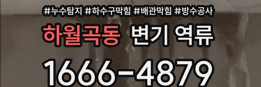 하월곡동 변기 역류
