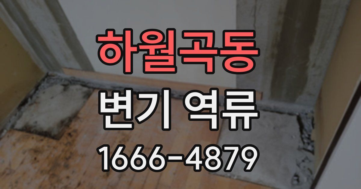하월곡동 변기 역류