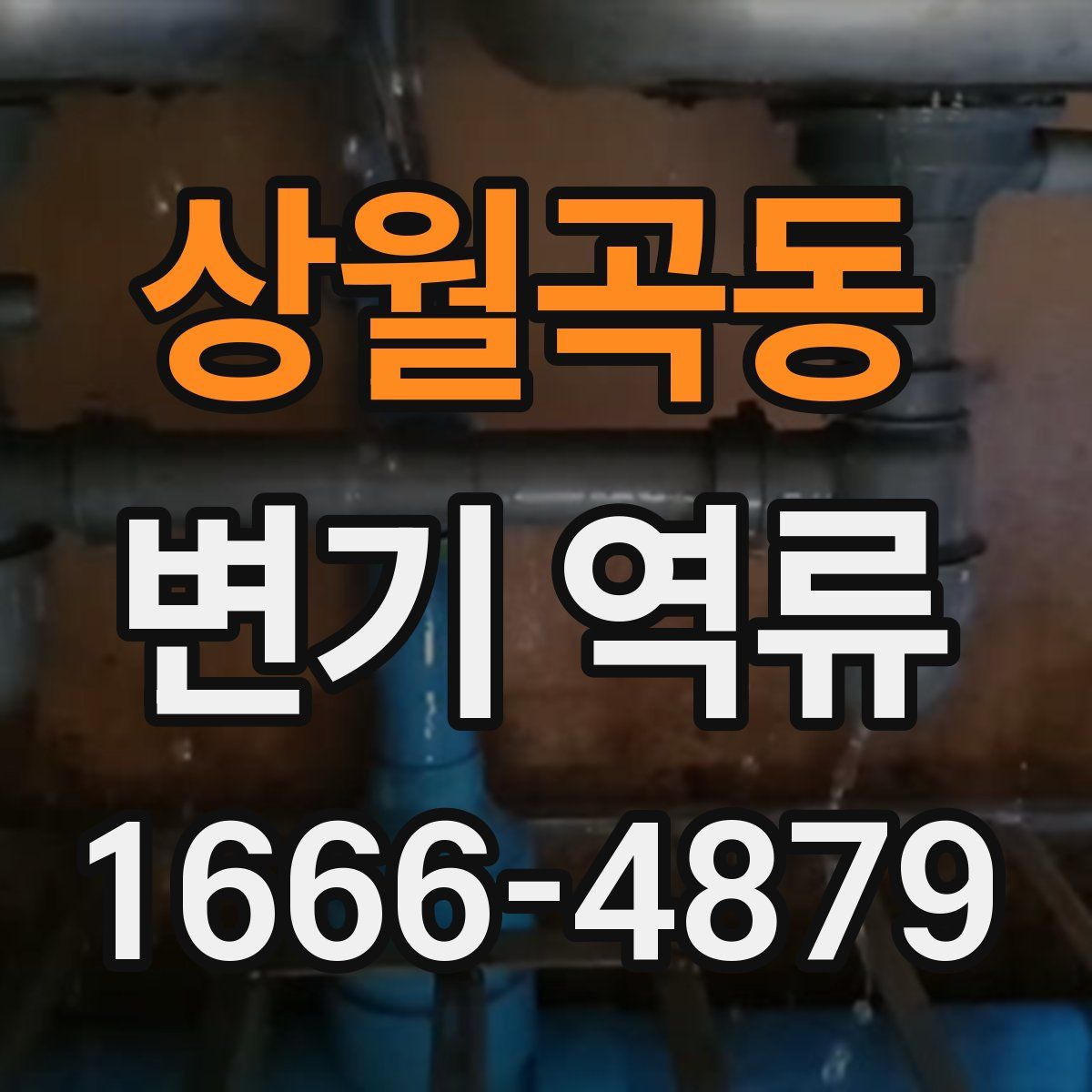 상월곡동 변기 역류