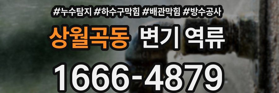 상월곡동 변기 역류