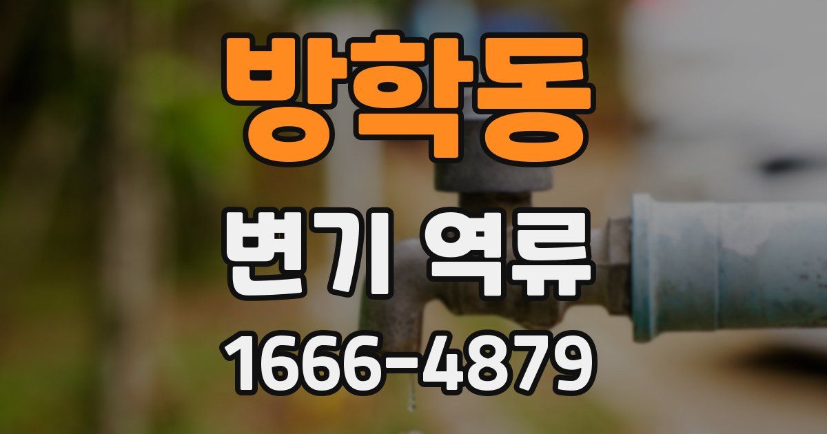 방학동 변기 역류