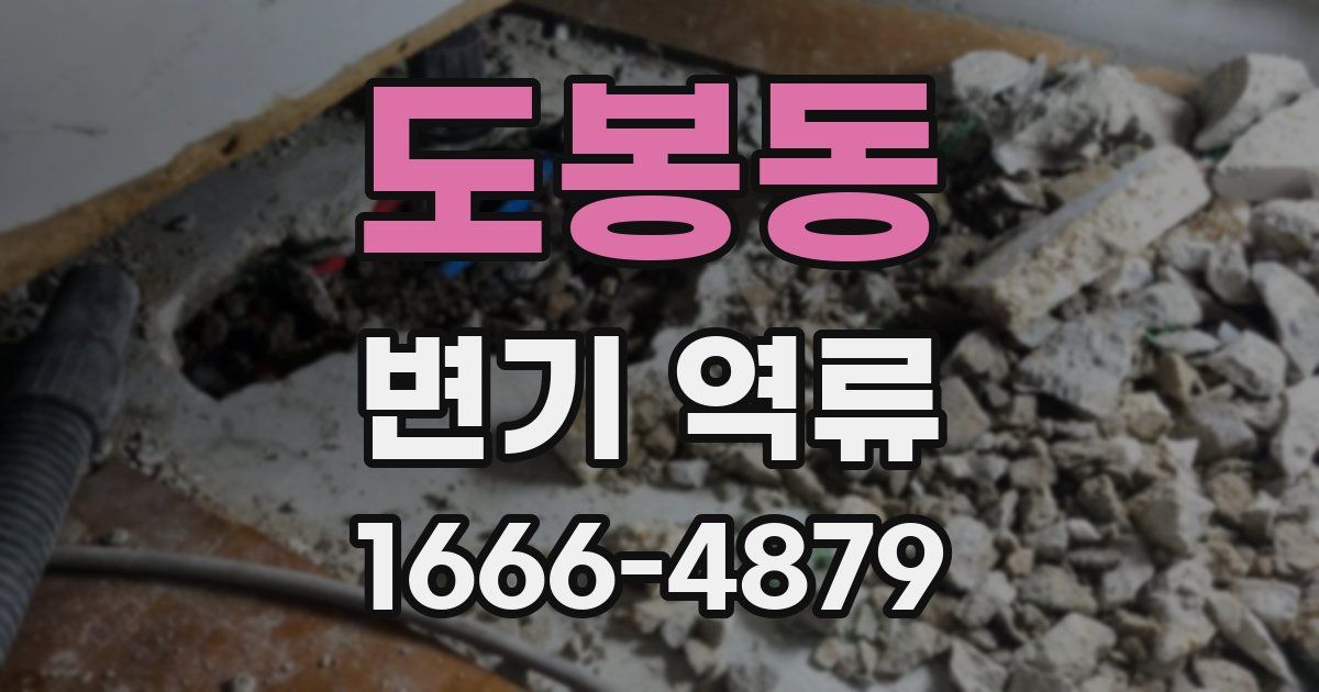도봉동 변기 역류