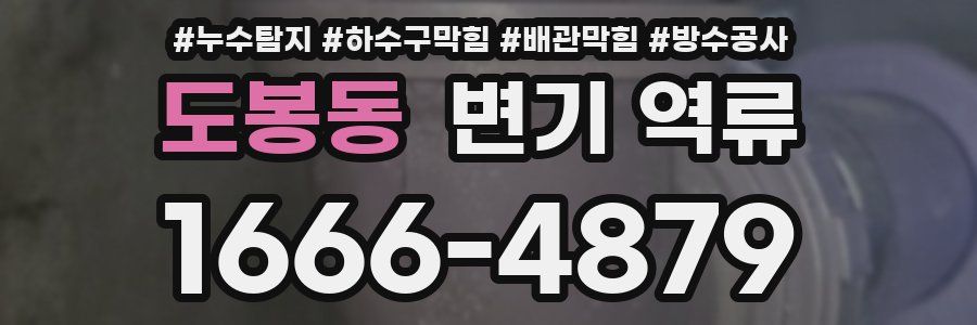 도봉동 변기 역류