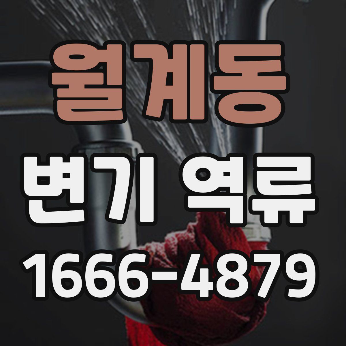 월계동 변기 역류