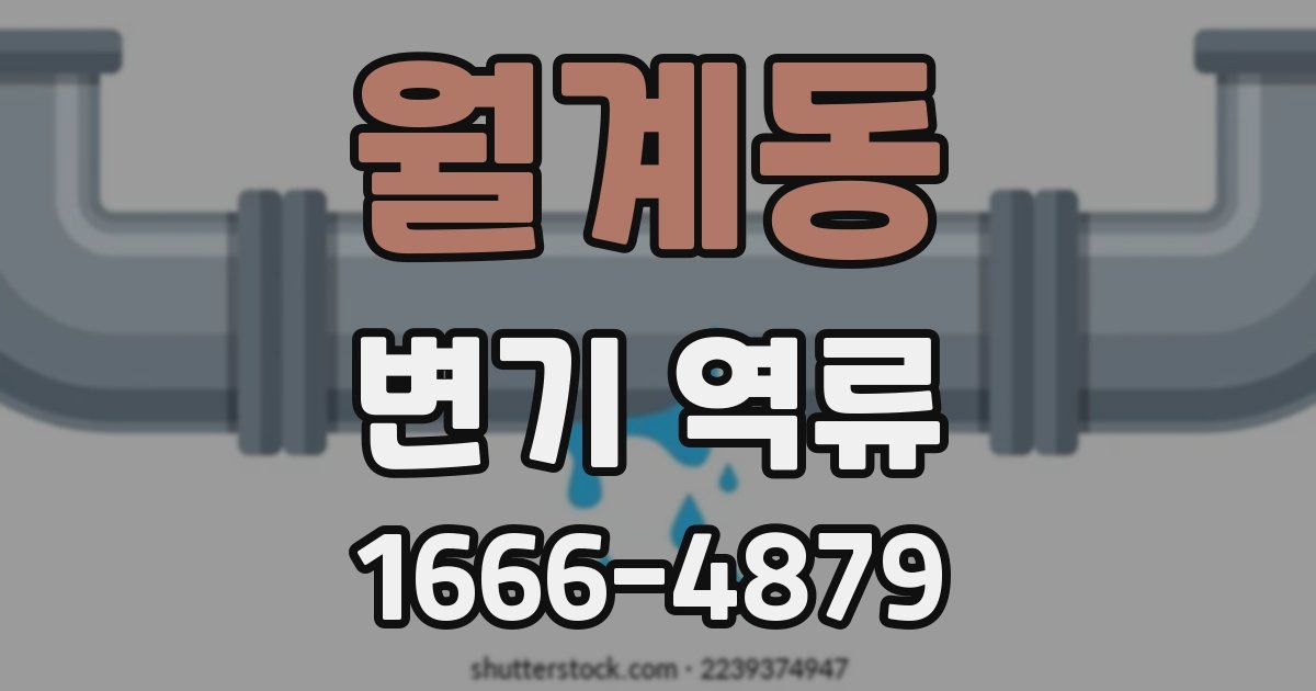 월계동 변기 역류