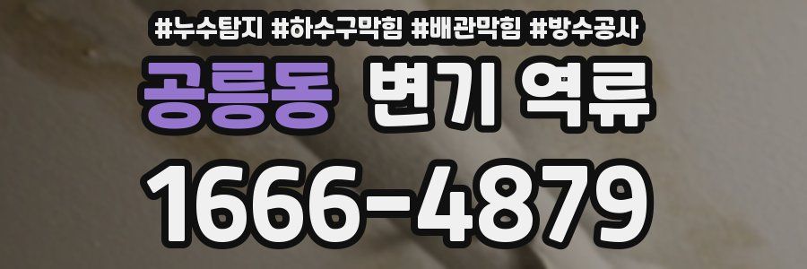 공릉동 변기 역류