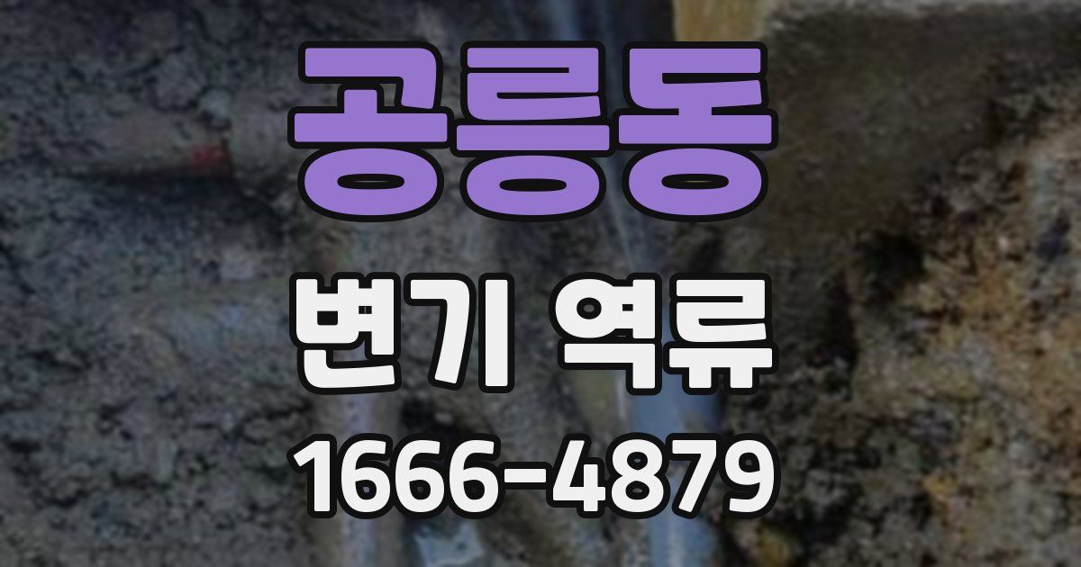 공릉동 변기 역류