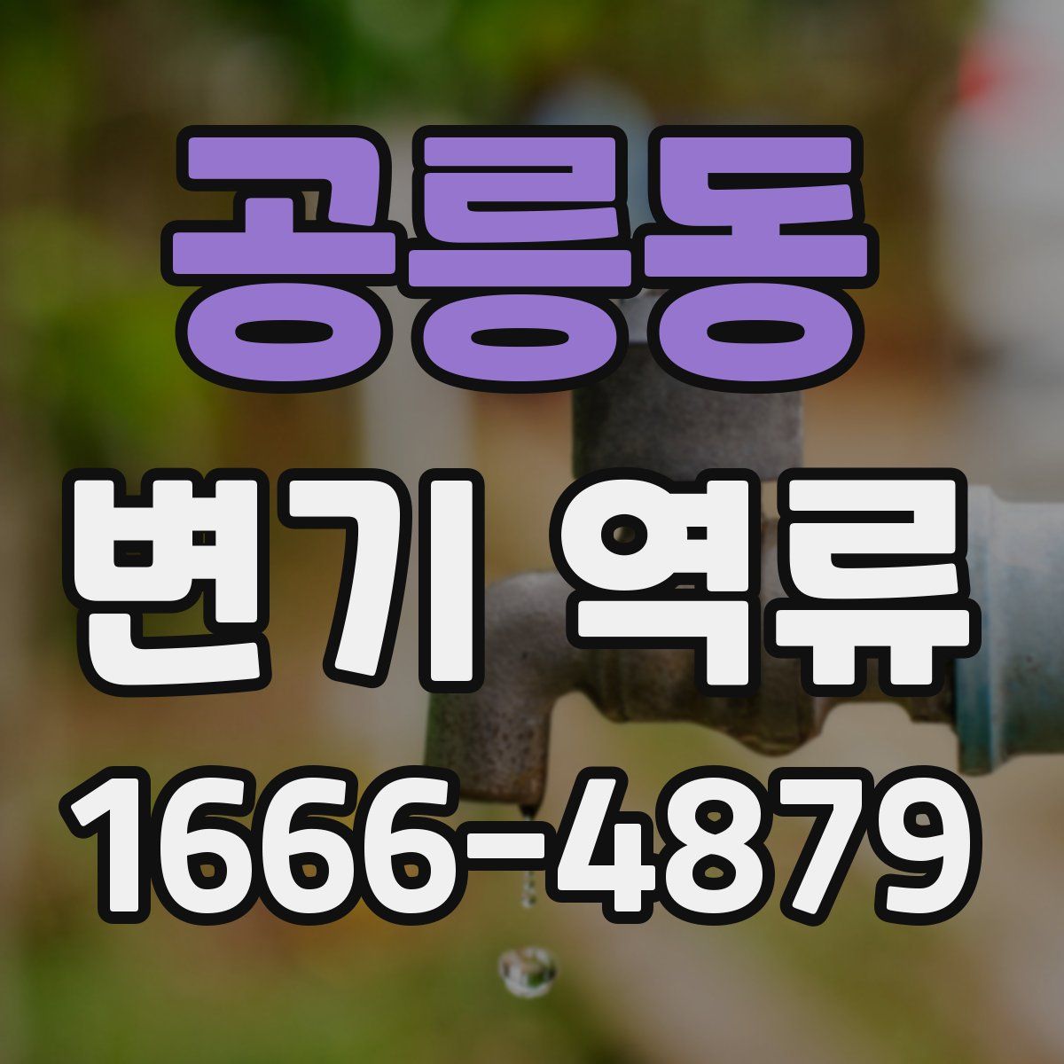 공릉동 변기 역류