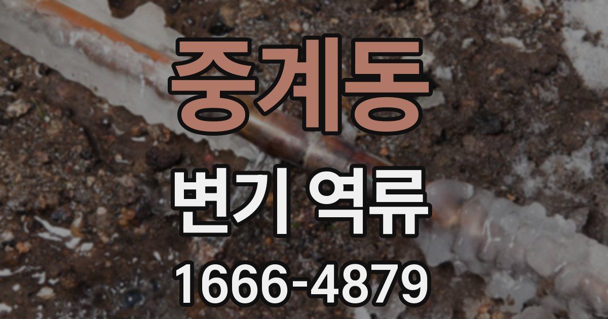 중계동 변기 역류