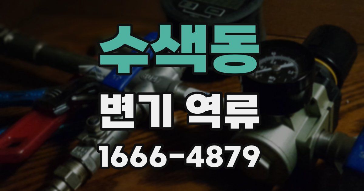 수색동 변기 역류