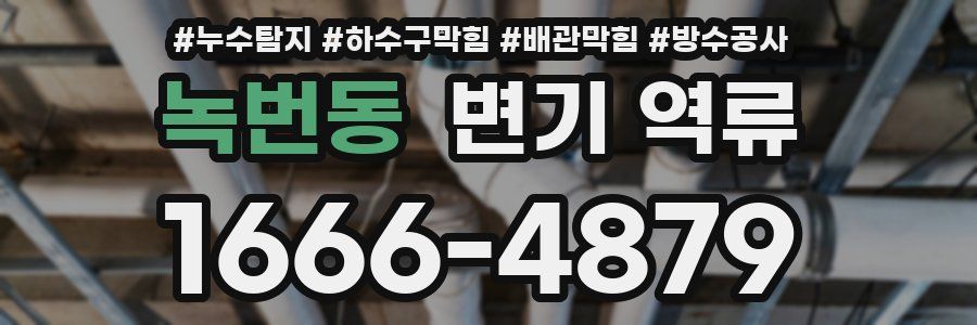 녹번동 변기 역류