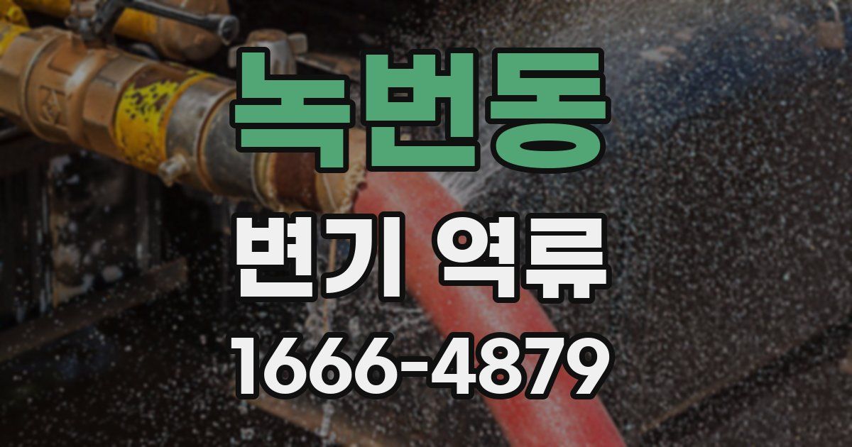 녹번동 변기 역류