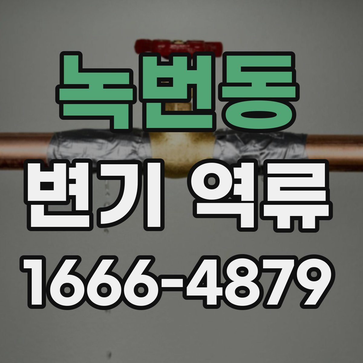 녹번동 변기 역류