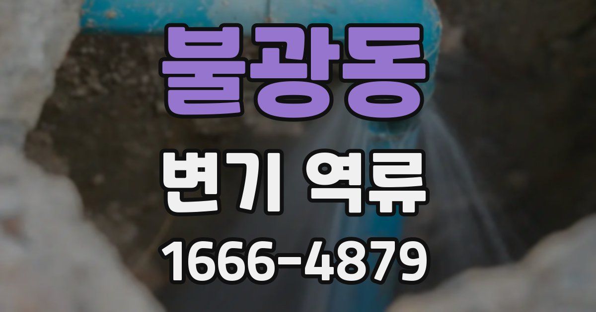 불광동 변기 역류