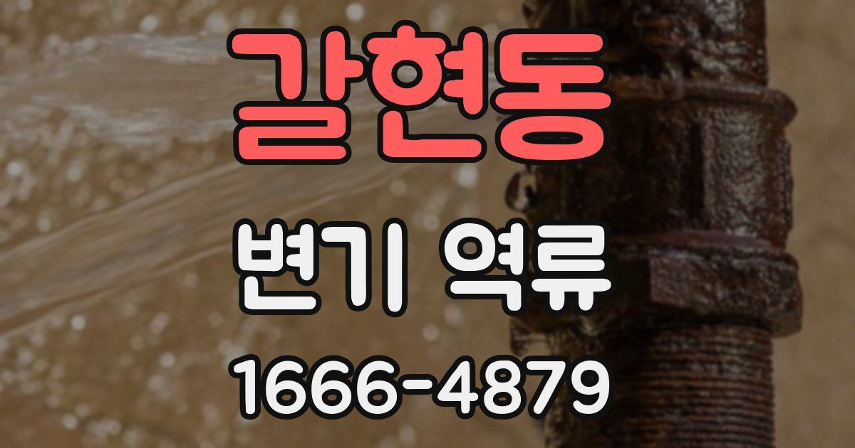 갈현동 변기 역류