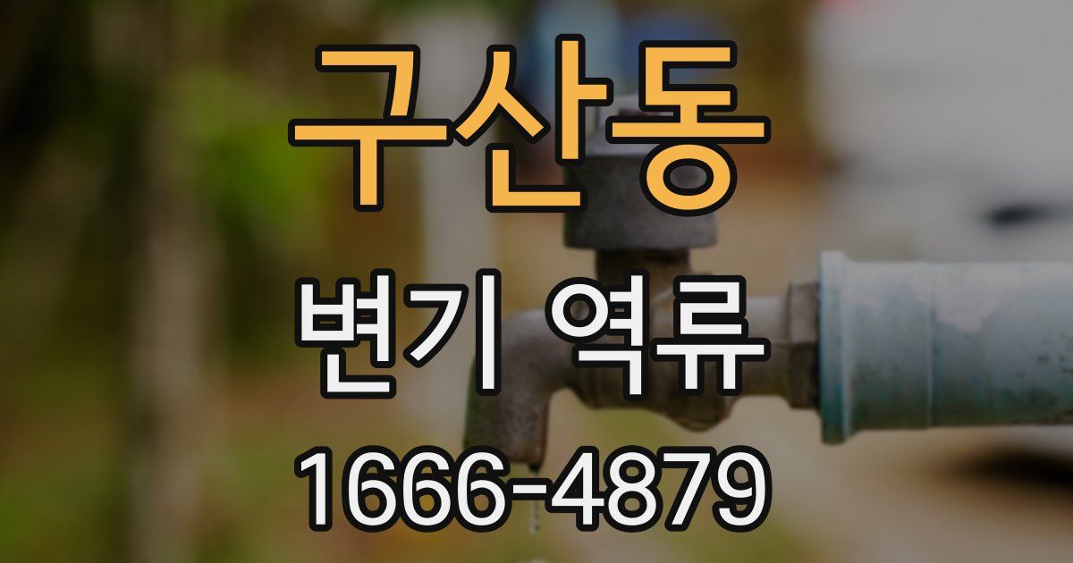 구산동 변기 역류
