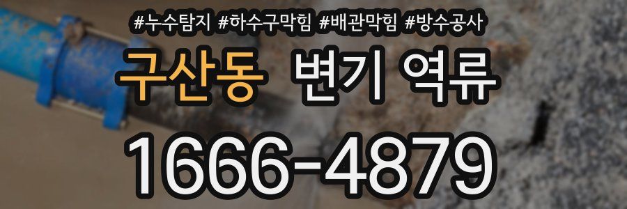 구산동 변기 역류