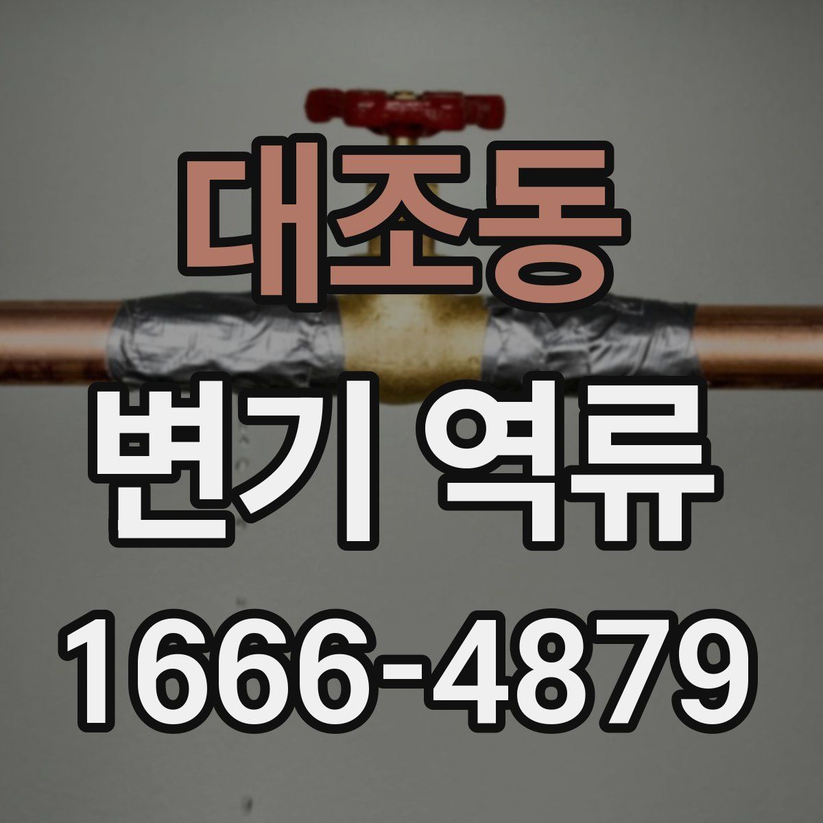 대조동 변기 역류