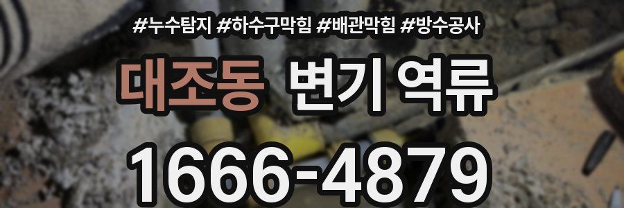 대조동 변기 역류