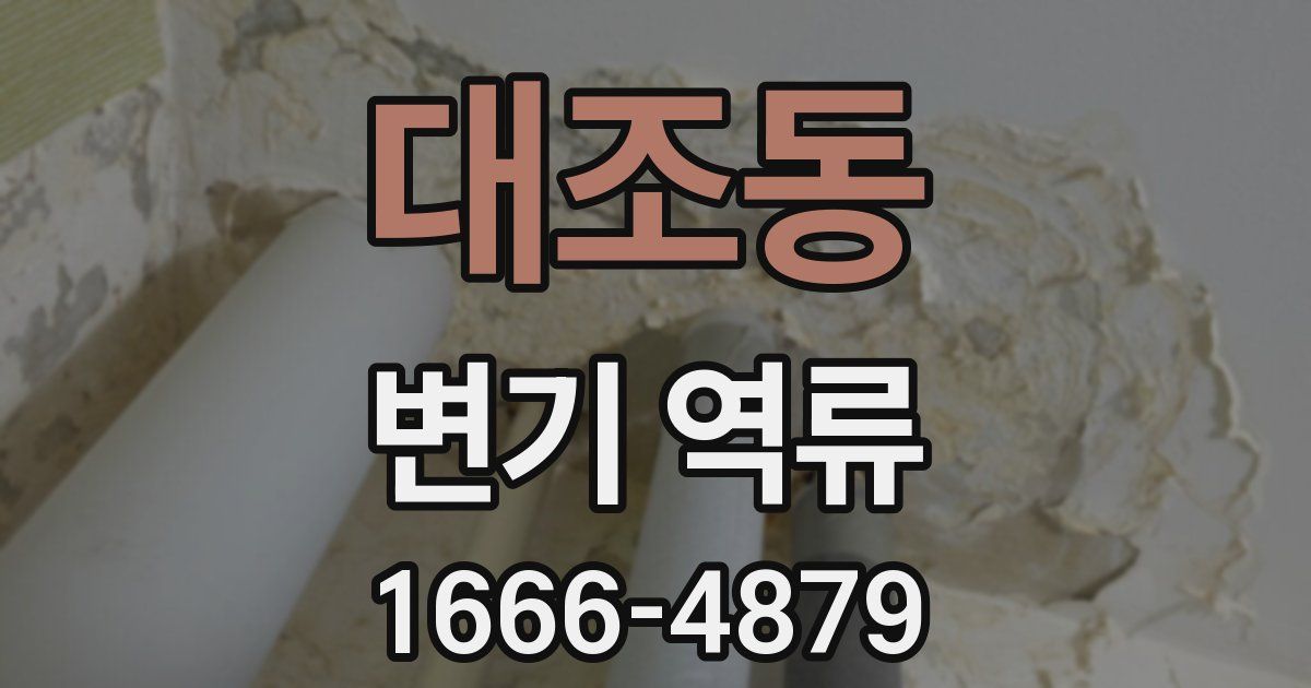 대조동 변기 역류