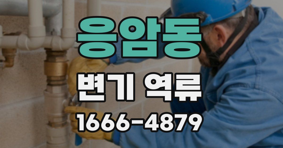 응암동 변기 역류