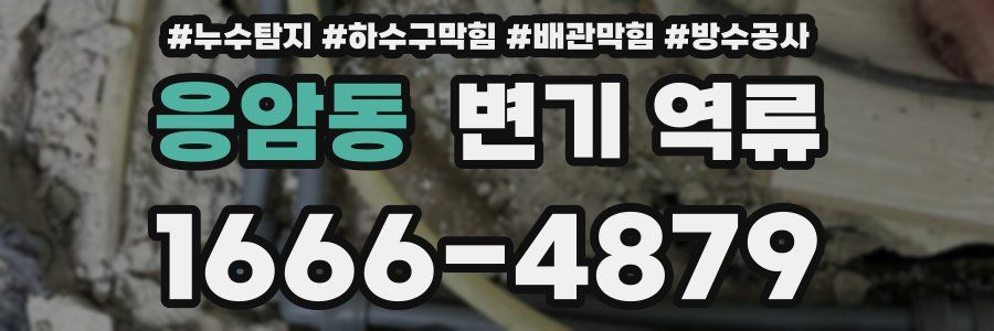 응암동 변기 역류