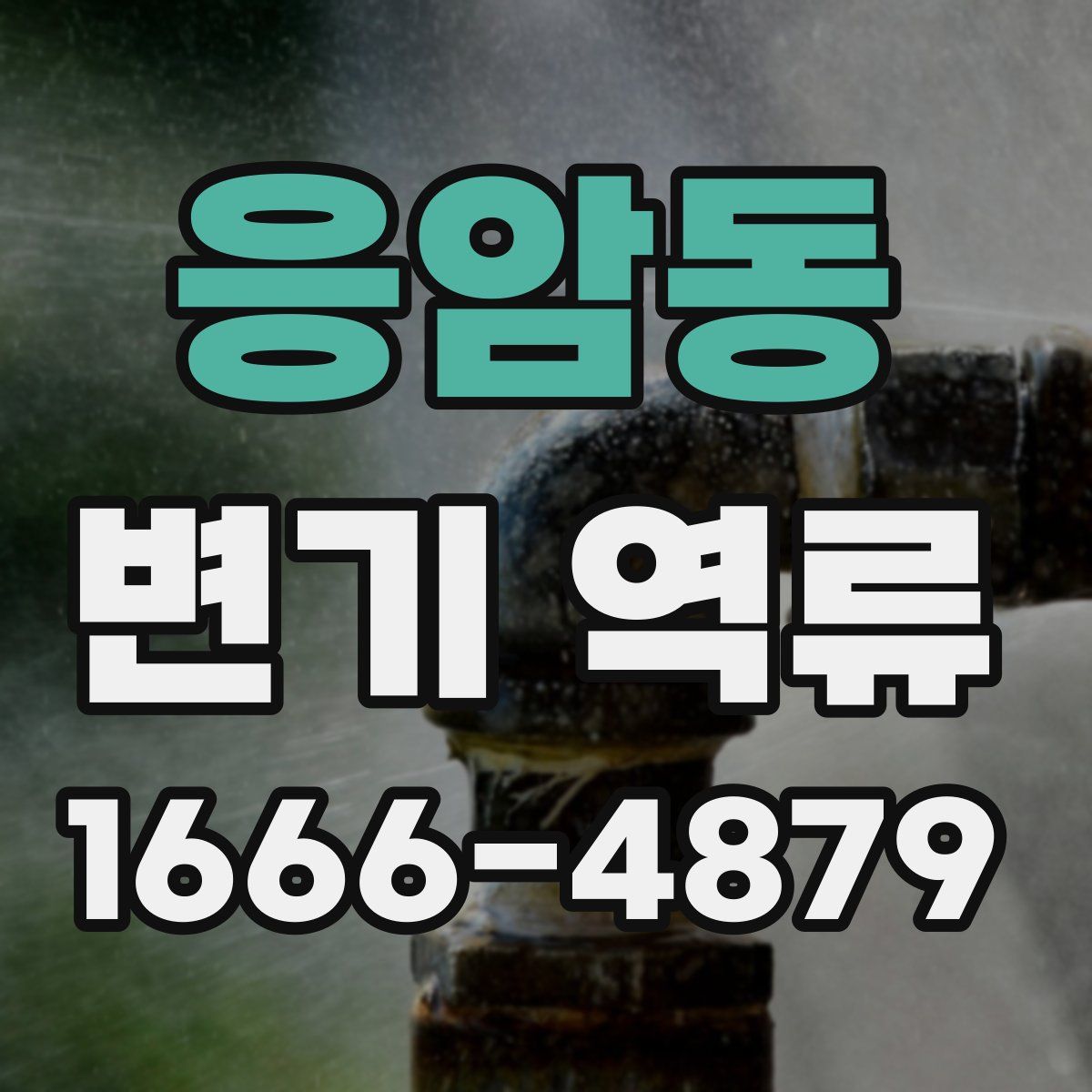 응암동 변기 역류