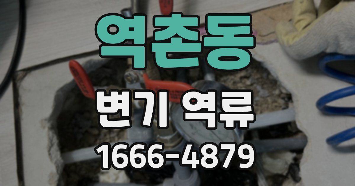 역촌동 변기 역류
