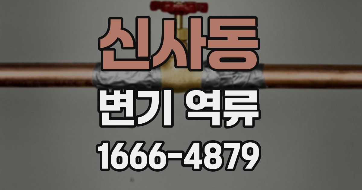 신사동 변기 역류