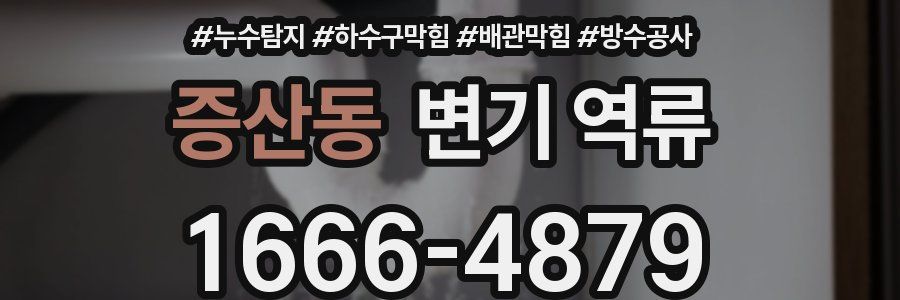 증산동 변기 역류