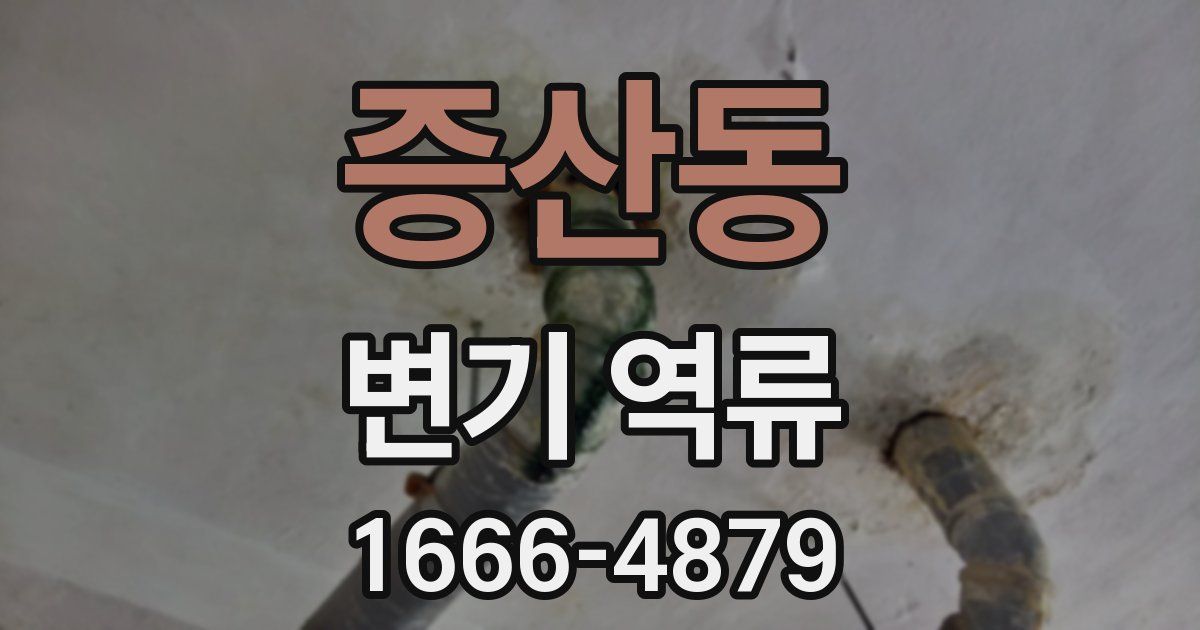 증산동 변기 역류