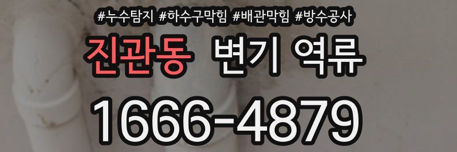 진관동 변기 역류