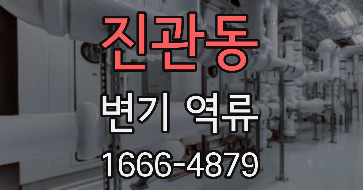 진관동 변기 역류