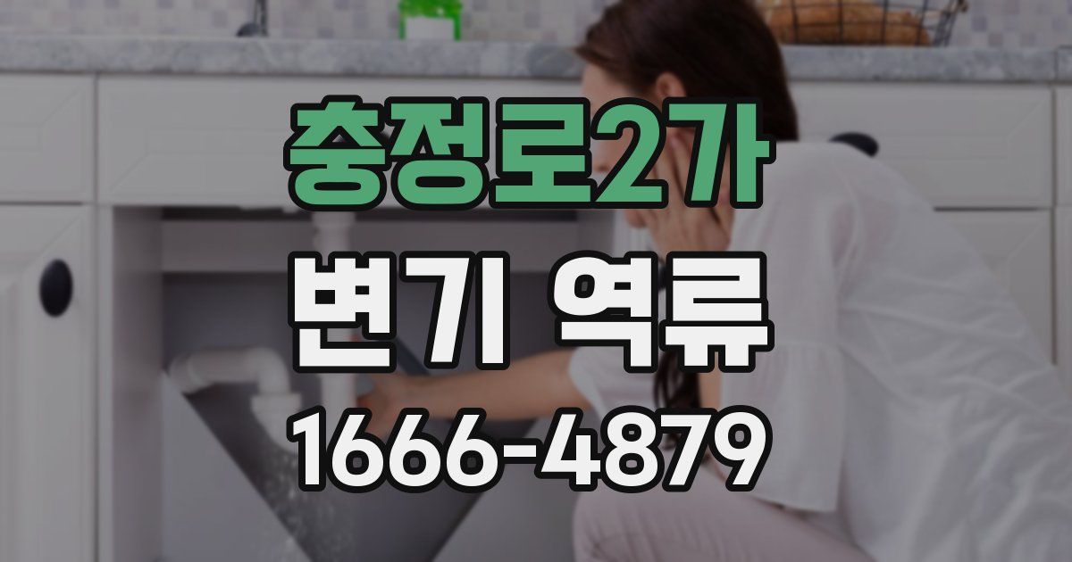충정로2가 변기 역류