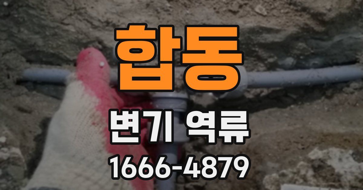 합동 변기 역류