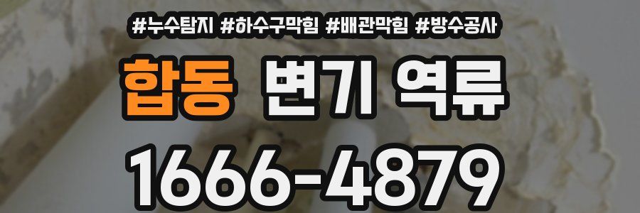 합동 변기 역류