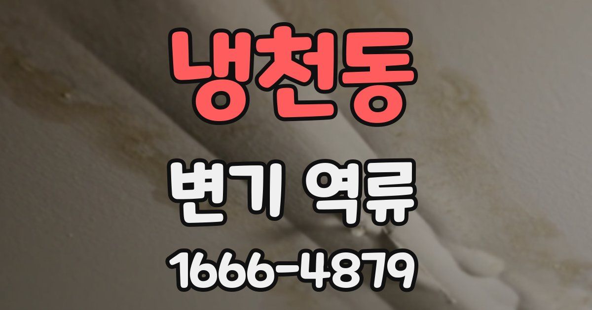 냉천동 변기 역류