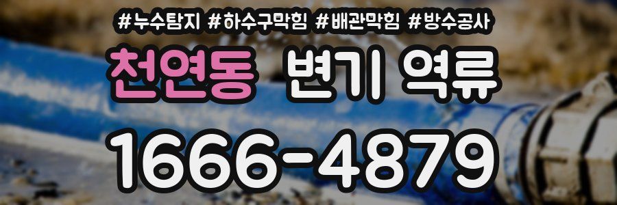 천연동 변기 역류