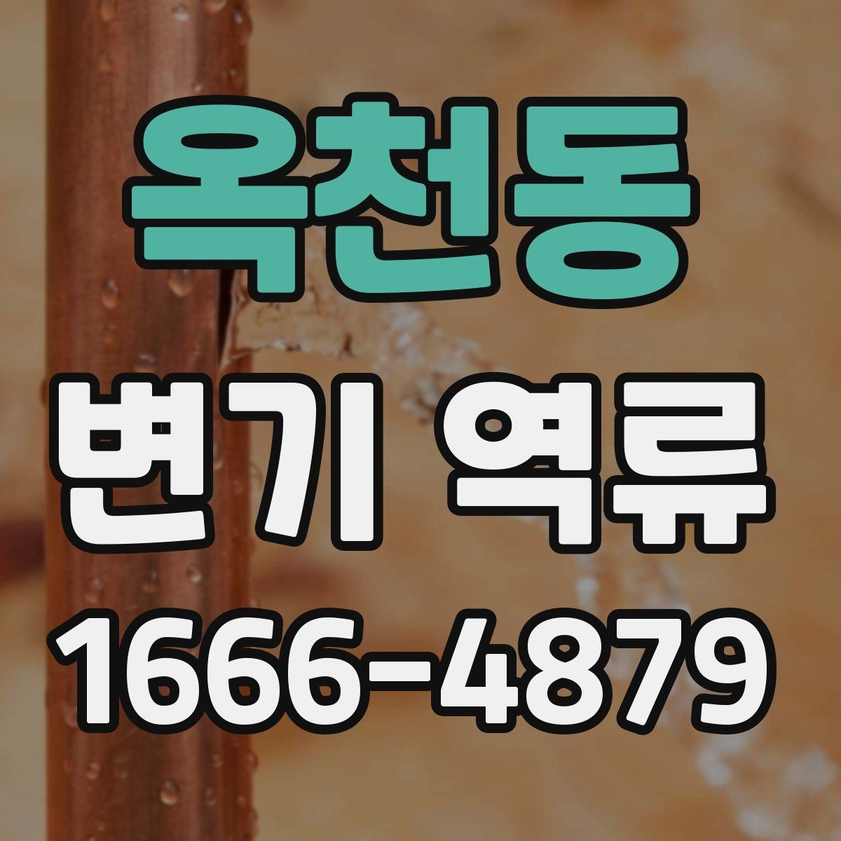 옥천동 변기 역류 배수 상태를 점검하는 방법